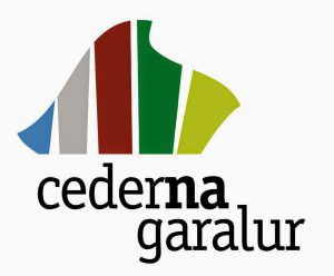 logo cederna VERT 4x4 tr